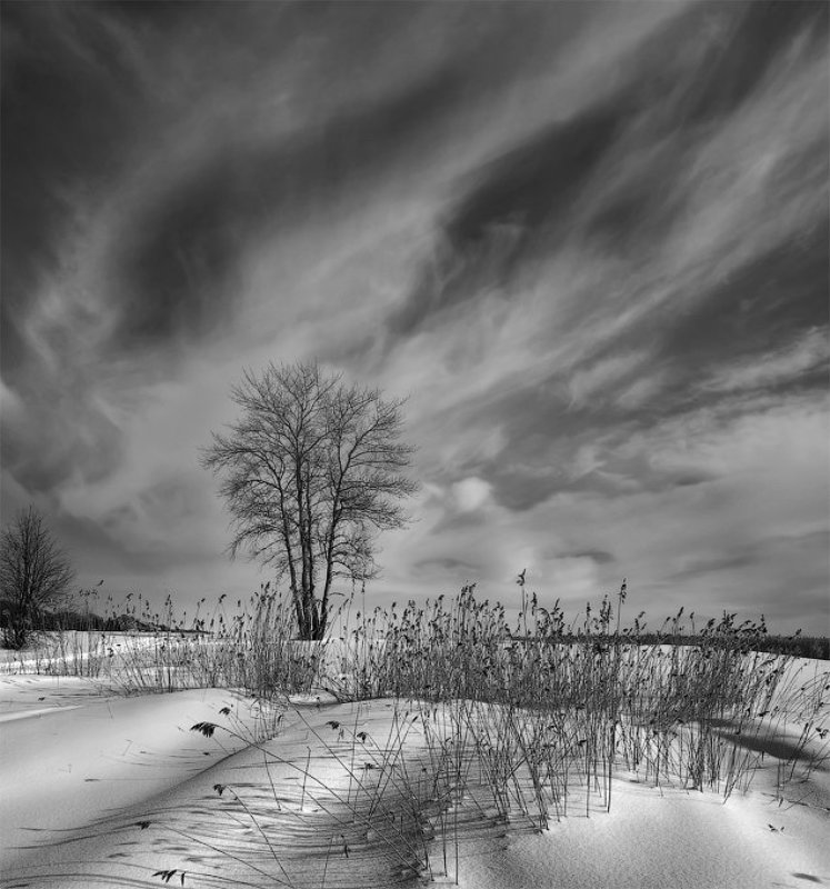 Пробуждениеphoto preview