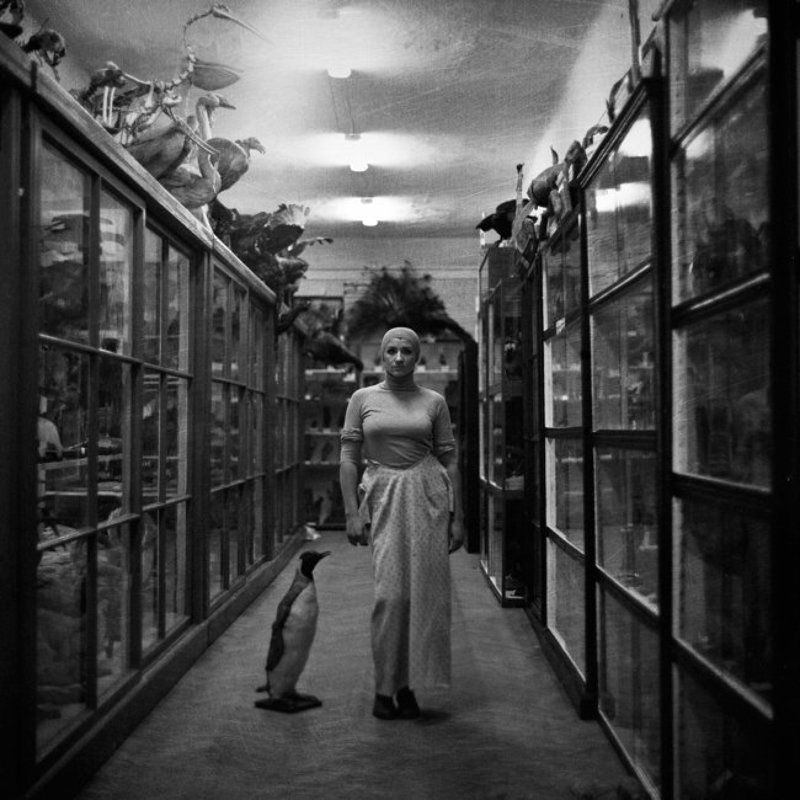 6x6 Drozdekphoto preview