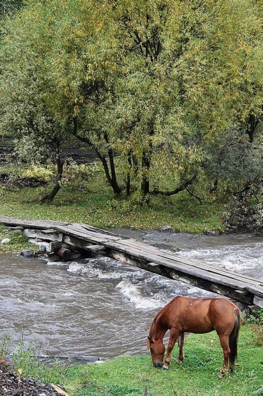 горный алтай,узнезя. Узнезя.Алтай.photo preview