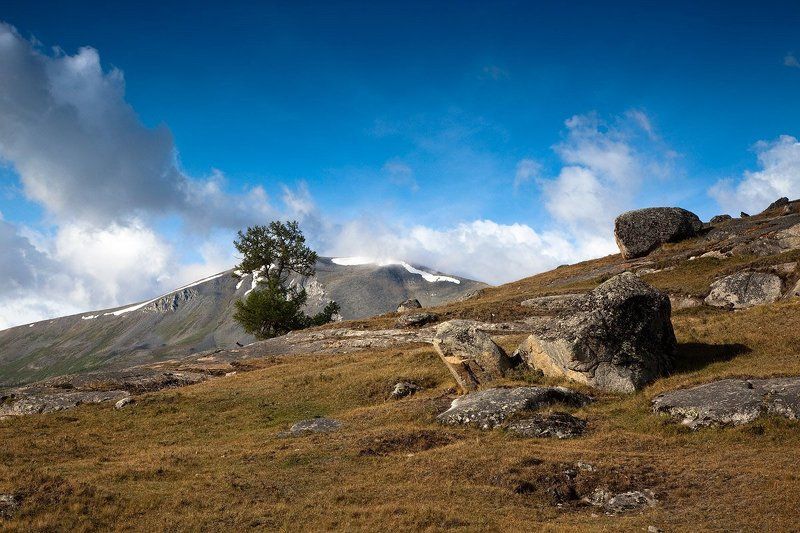ОПТИМИСТИЧНОЕ УТРО НА ХОТОН НУУР... фото превью