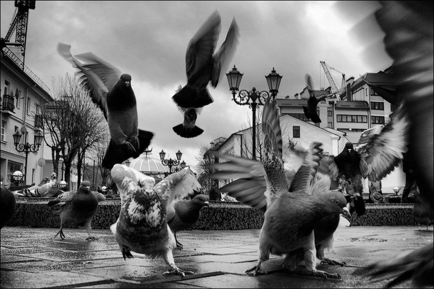 , Виктор Байковский