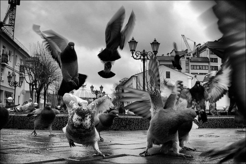 нашествиеphoto preview