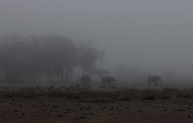 вот такое выдалось утро...photo preview