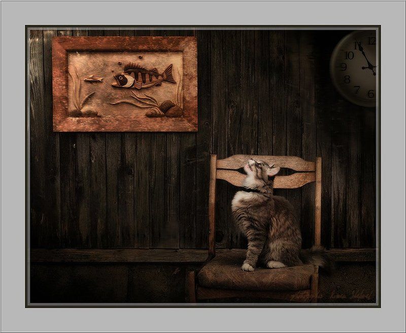 иногда мечты просто уплывают....  :)photo preview