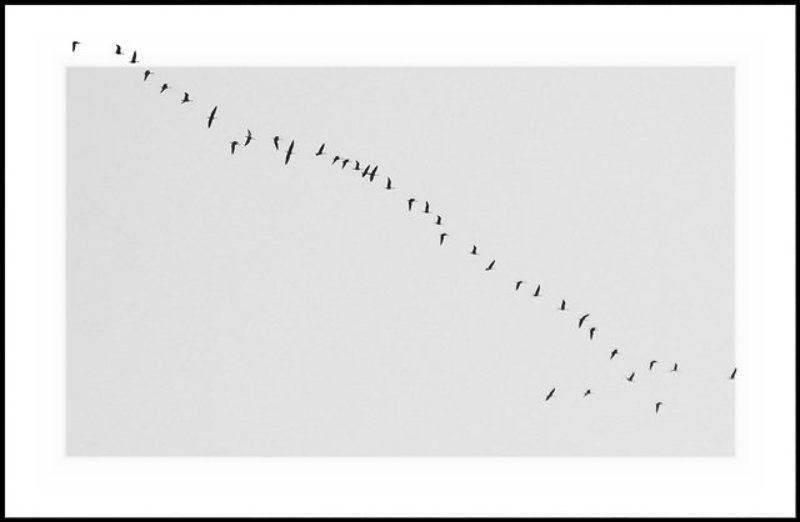 __ключ__photo preview