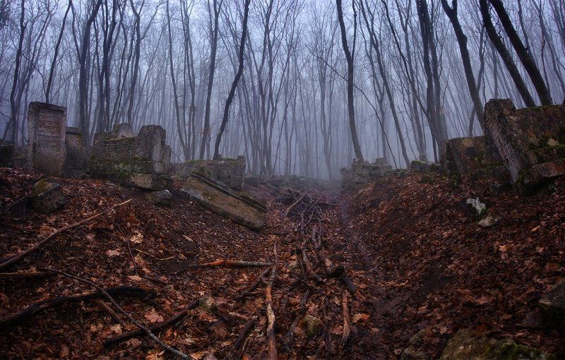 Балта-Тиймез 2photo preview