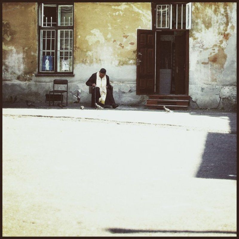 __осень патриарха__photo preview