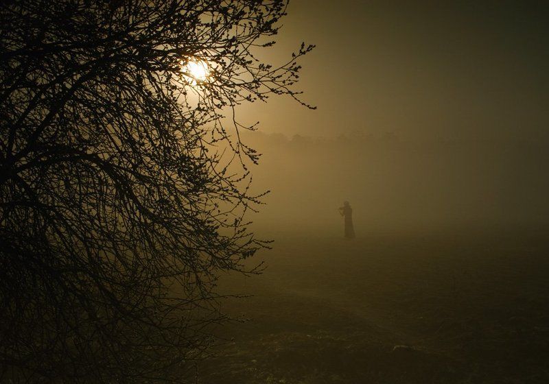 пейзаж,рассвет,скрипач,коллаж,утро,природа музыка ли рождает в нас свет,или свет будит мелодии в нашем сердце...photo preview