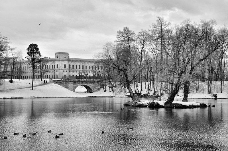 Гатчинский паркphoto preview