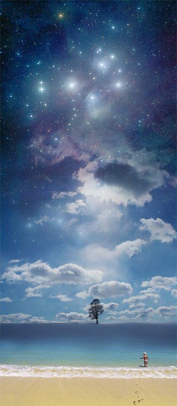 путилов, креатив, смысл, идея Дерево жизниphoto preview