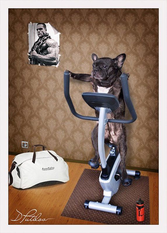 путилов, креатив, смысл, идея Стремление стать человекомphoto preview