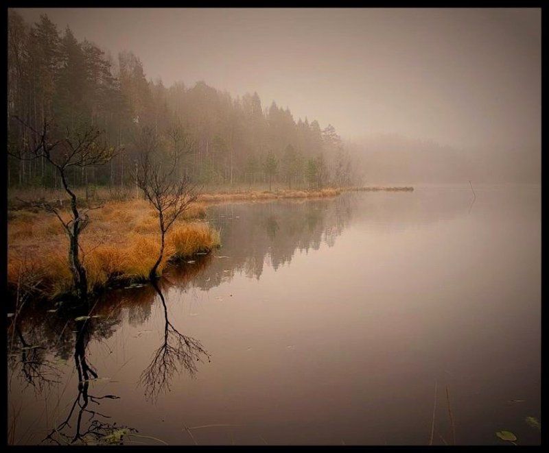 туман, озеро, осень, утро Осеннее утро на Лампиярвиphoto preview