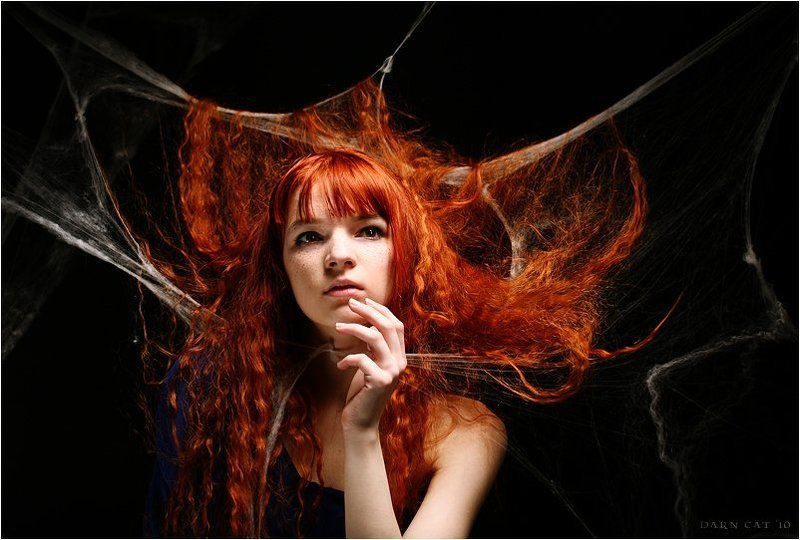 девушка, паутина, волосы Паутиныphoto preview