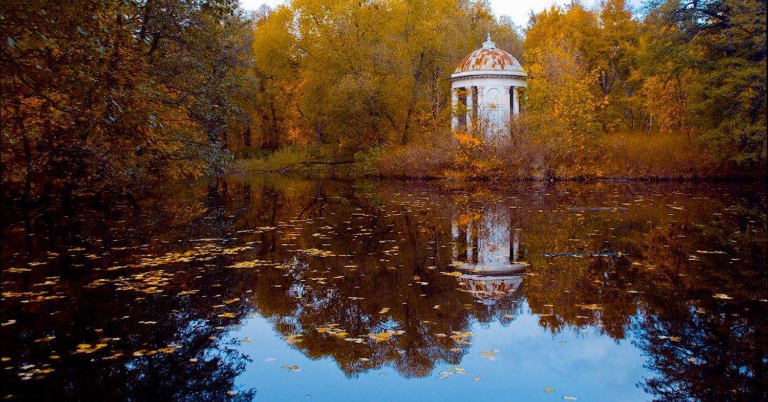 осеннее одиночество. Автор: Владислав осень, Владислав