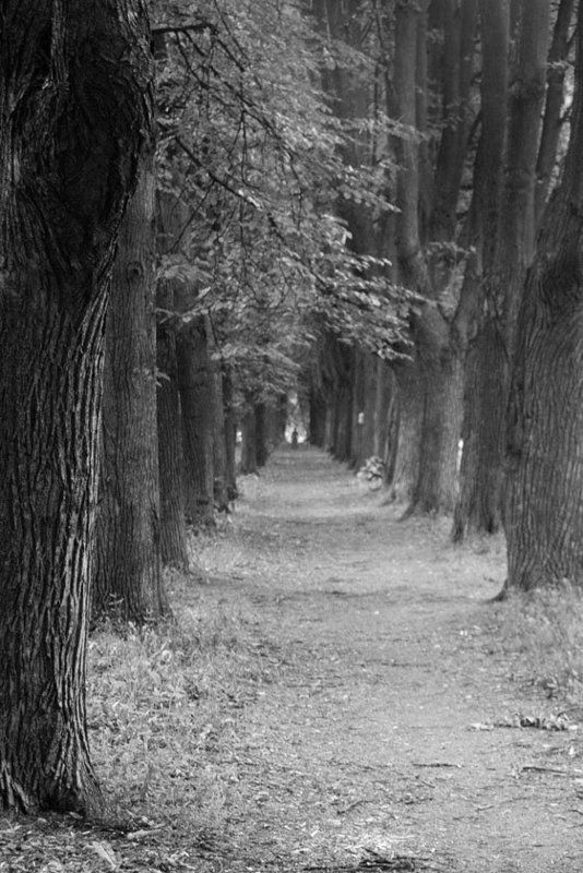 Туннель времени...photo preview