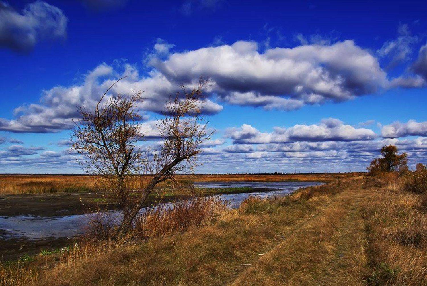 природа, зауралье, Руденко Олег