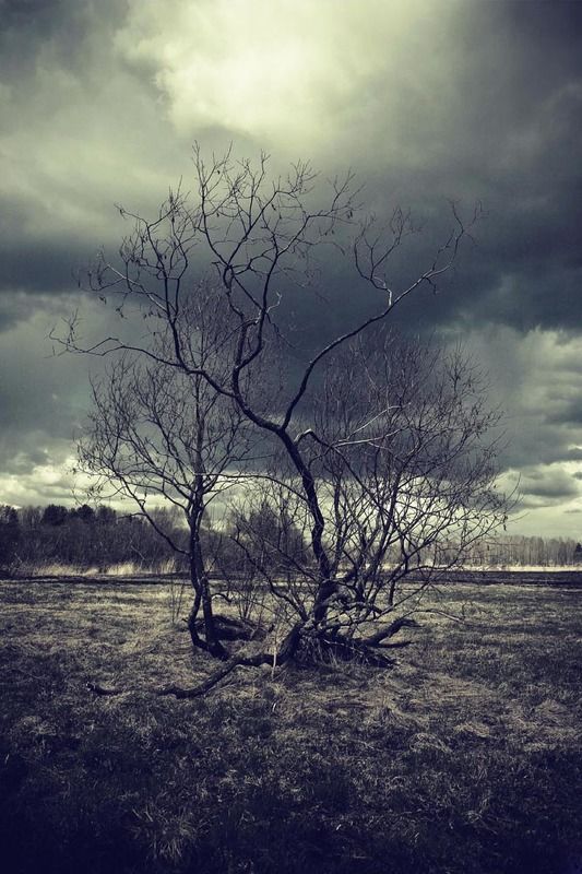 Майские грозыphoto preview