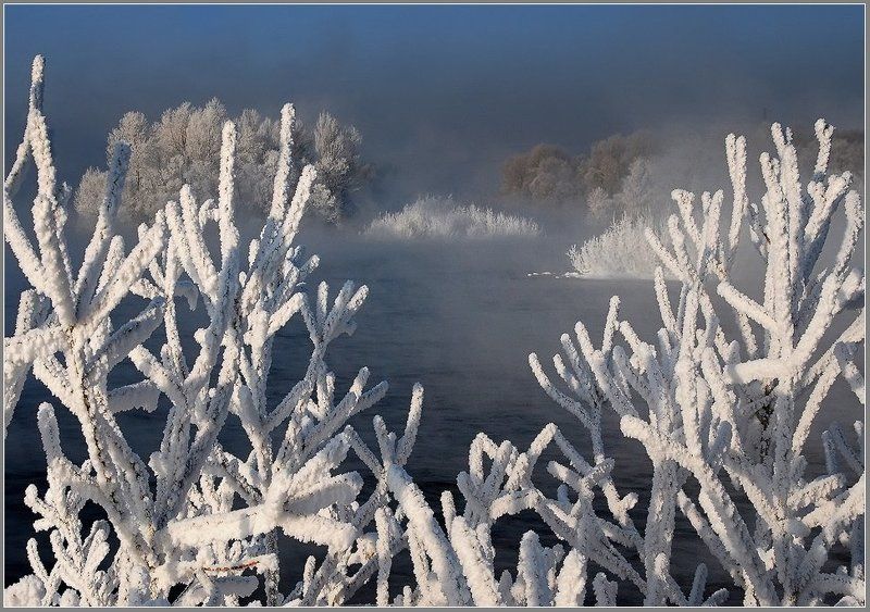 иртыш,зима,иней Коралловые островаphoto preview