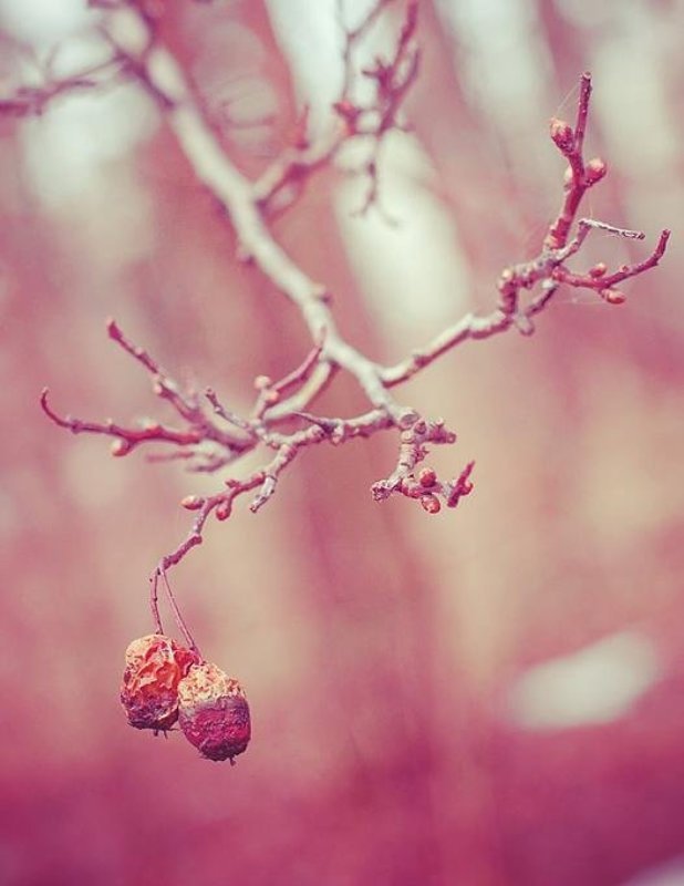 только ты и яphoto preview