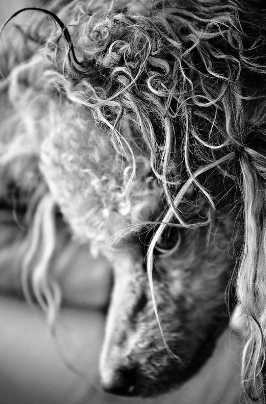 Джонни,будни...photo preview