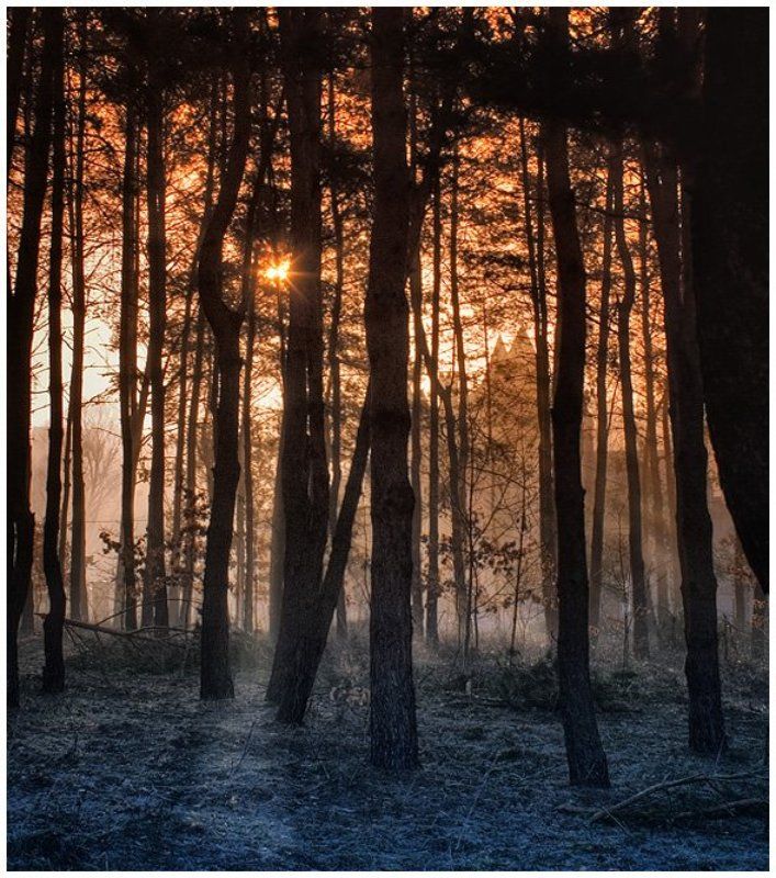 замок,рассвет,природа,заморозки,утро photo preview