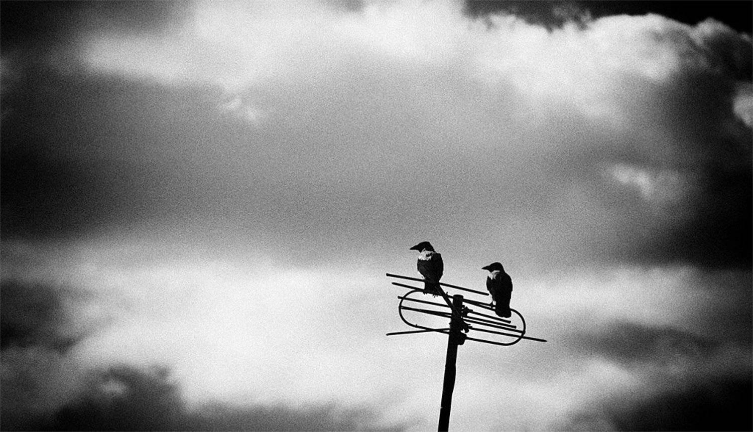 Вспышка слева!. Автор: Денис , Денис