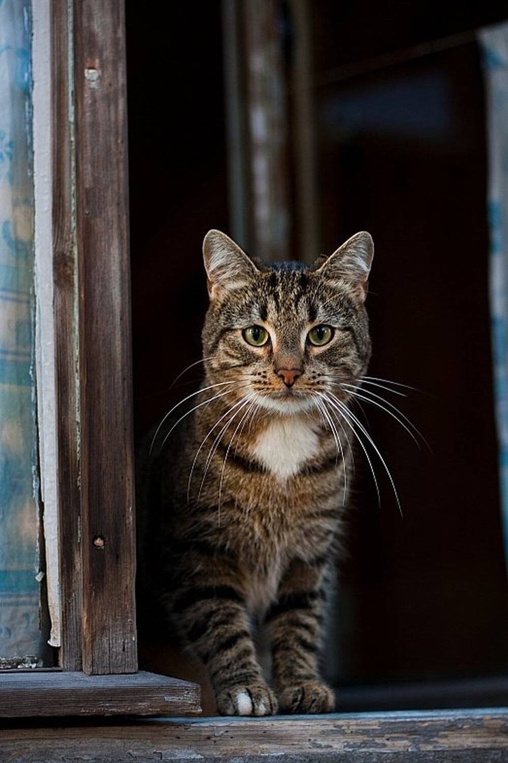 Из окна. Автор: Сергей Рябиченко , Сергей Рябиченко