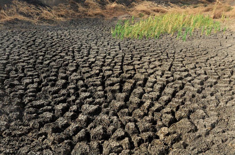 Зеленый оптимизмphoto preview