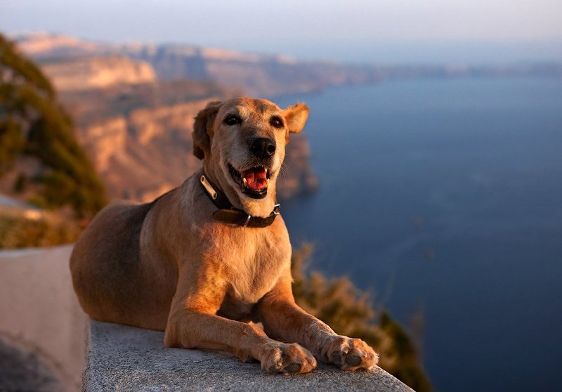 разговорphoto preview