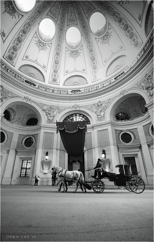 вена, австрия, город, люди, собор Прогулка по Венеphoto preview