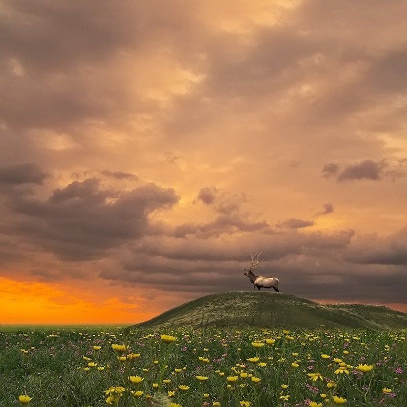 До начала времен.photo preview