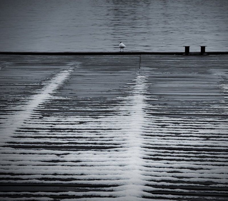 у причалаphoto preview