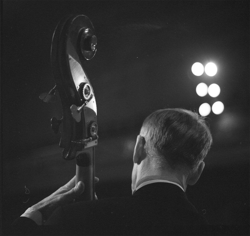 Репетиця оркестра-5photo preview