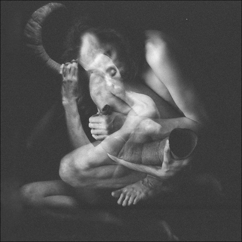 то ли буйвол, то ли як, Толя Тур...photo preview