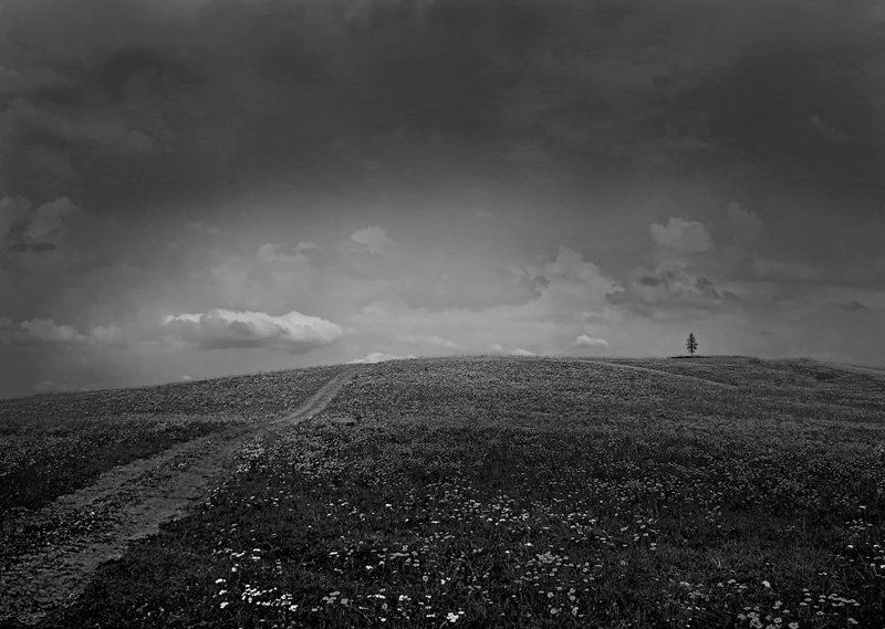 пейзаж,небо,дорога,поле Дорога в Светлое.....photo preview