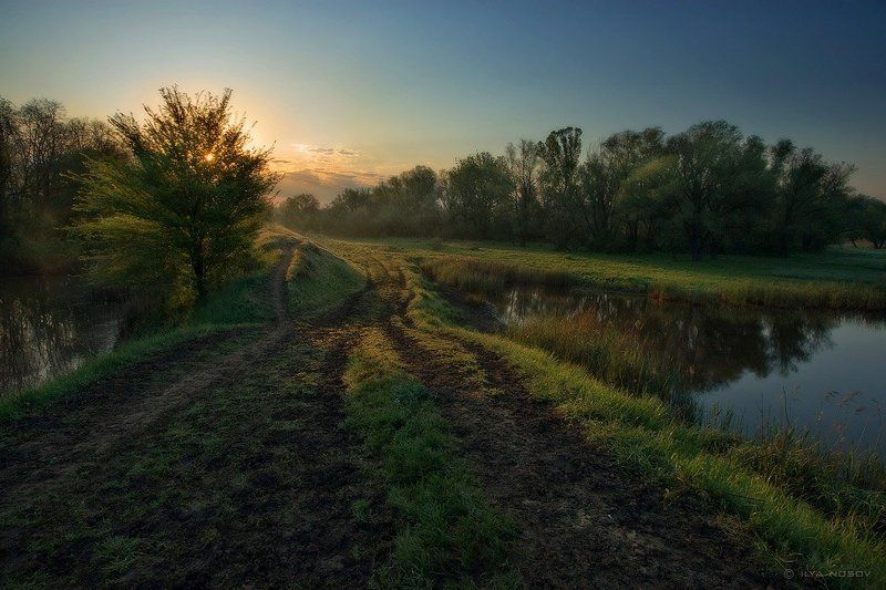 Коровьи тропыphoto preview
