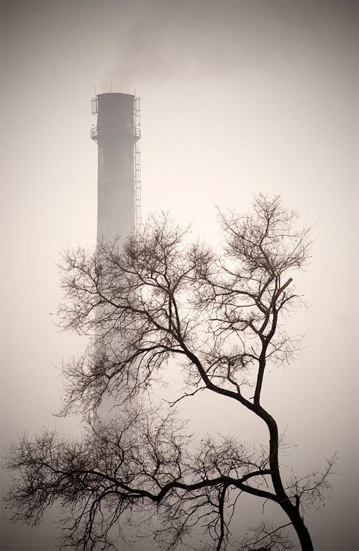 владивосток, туман, северные, земли ***photo preview