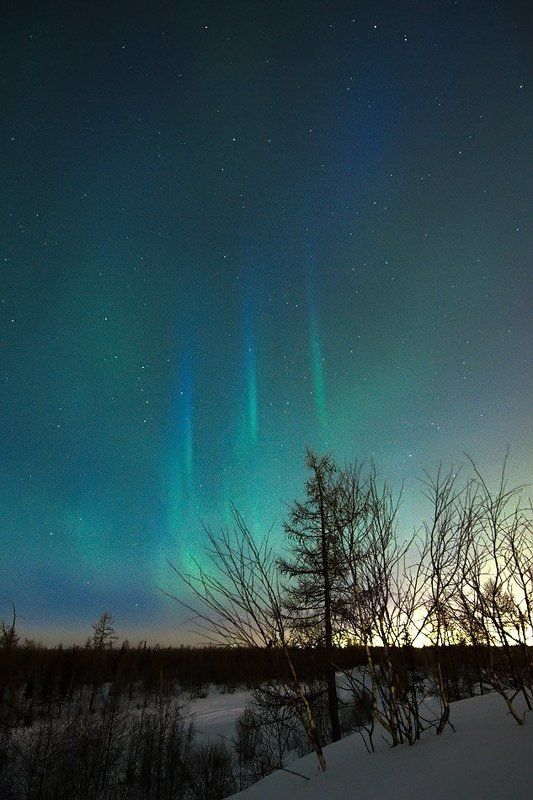 aurora borealis, северное сияние, природа, ночной пезаж, север Aurora Borealisphoto preview
