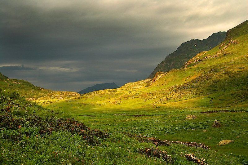 Теплое солнце!photo preview