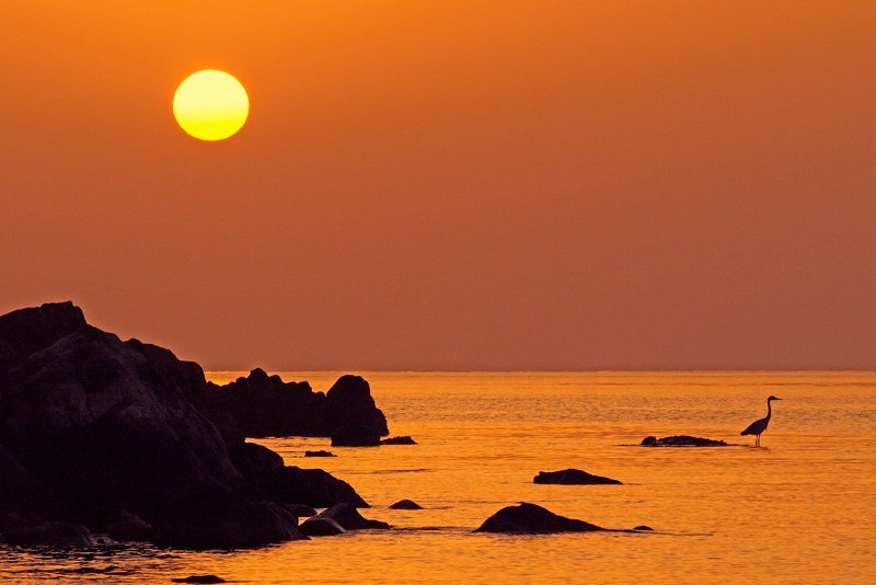 на рассветеphoto preview