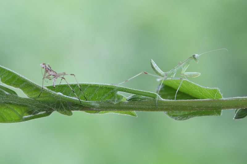 Смена костюмаphoto preview
