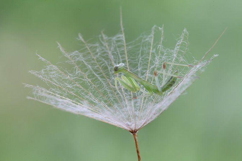 В корзинкеphoto preview