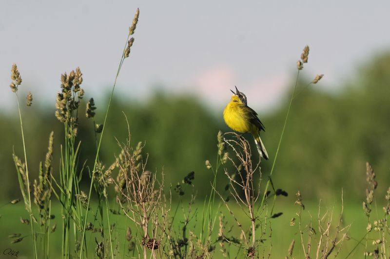 Провожая деньphoto preview