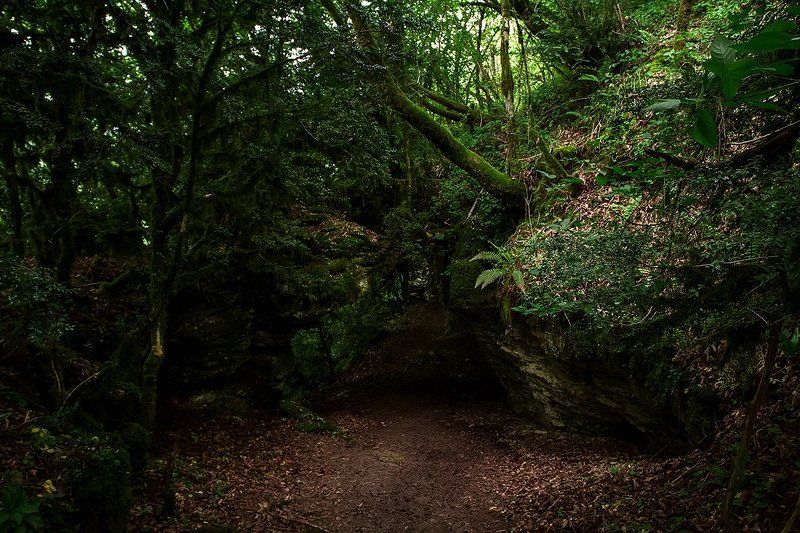 море абхазия горы небо пейзаж закат путешествия отдых  Дорога к Шакуранским водопадамphoto preview