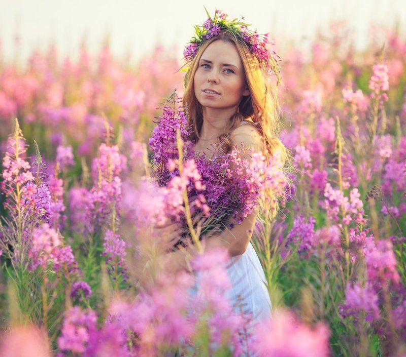 Вечер, Закат, Иван-чай, Ната. Иван-Чайphoto preview