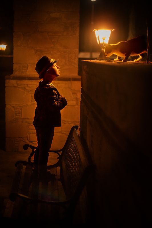 Бродячий котphoto preview