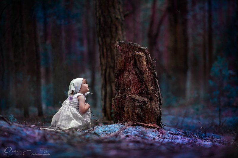 в сказкеphoto preview