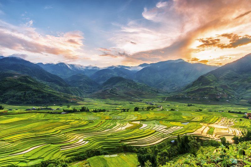 agriculture; asia; asian; cang; chai; curve; environment; farm; field; green; harvest; horticulture; land; landscape; mountain; mu; nature; plant; rice; rough; sapa; season; terrace; terraced; travel; valley; vietnam; water;  Cao Pha valley, Mu Cang Chaiphoto preview