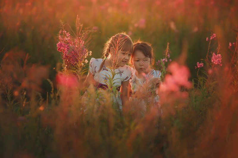 Двое и иван-чайphoto preview