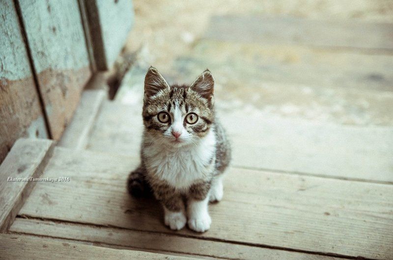 Что тебя ждет, малышка?photo preview